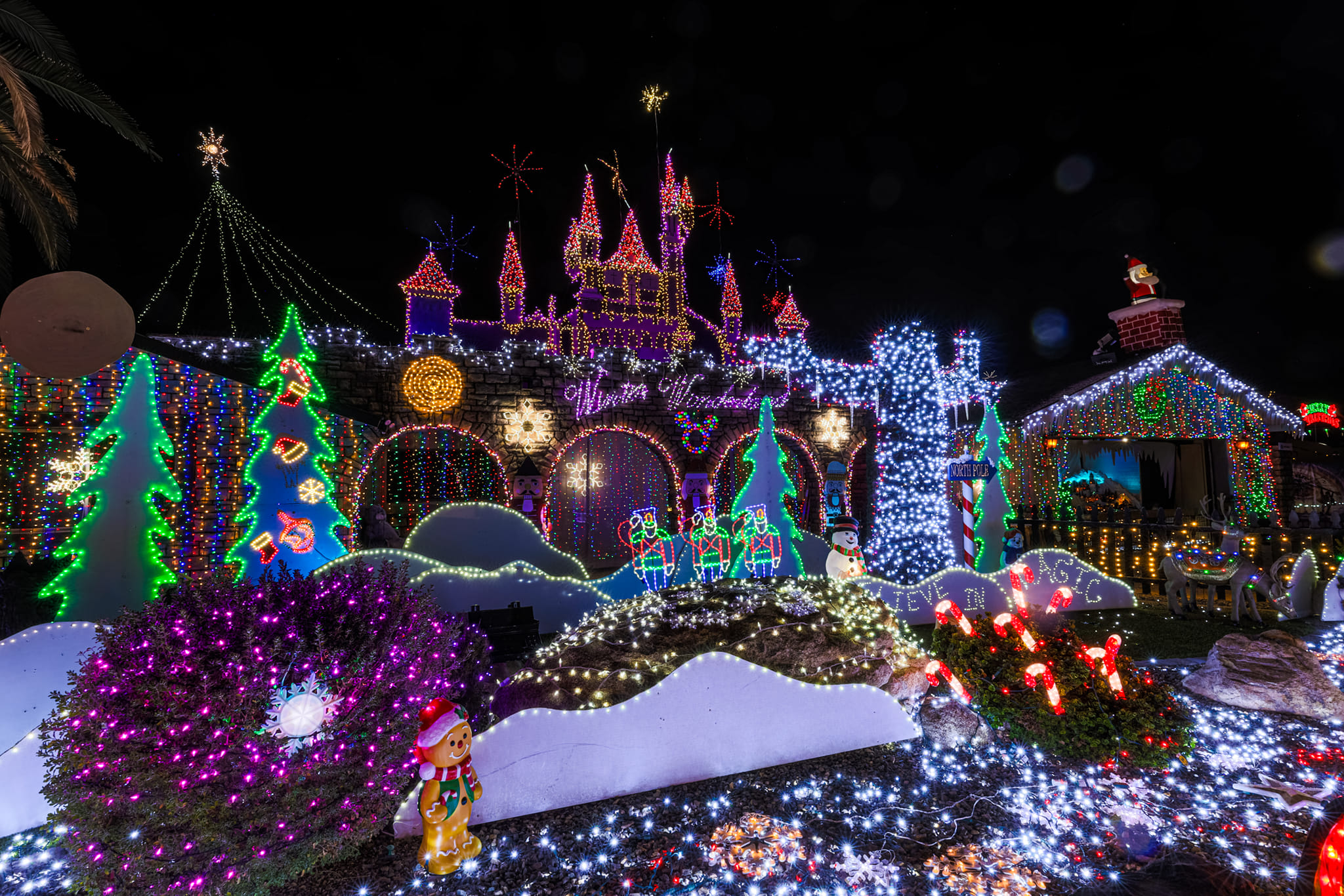 ¡Scottsdazzle regresa a Scottsdale en 2025!